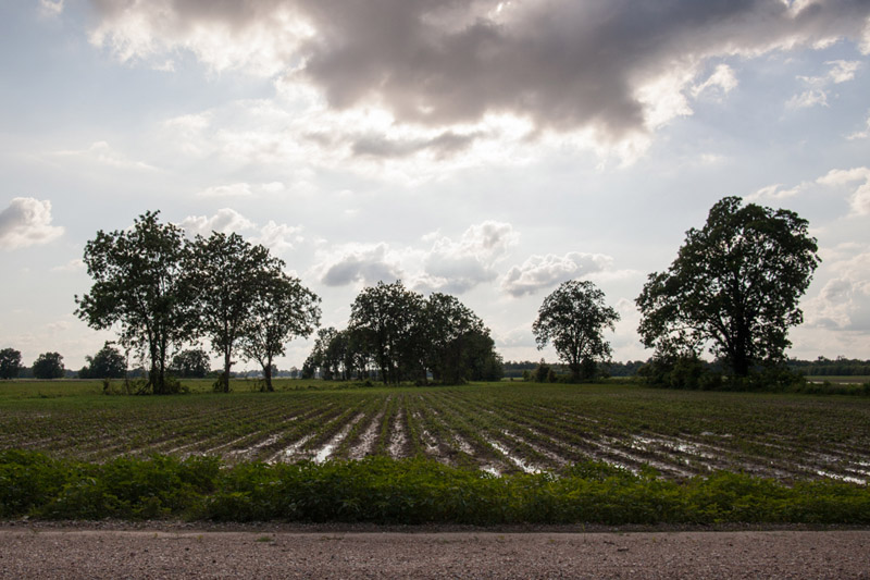 Landscape at the Mississippi Delta workshop with Photo Xpeditions in 2014