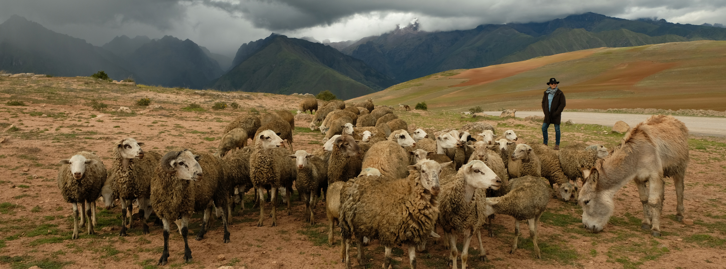 EXPLORA TIERRA SAGRADA DE LOS INCAS